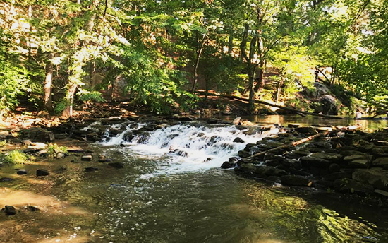 Smedley Park - Visit Delco PA