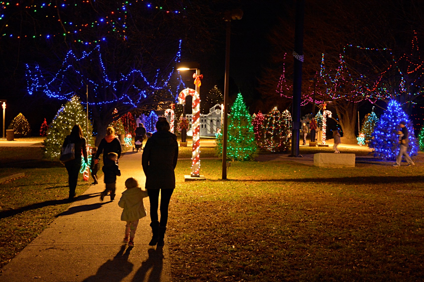 Rose Tree Park #39 s Festival of Lights Visit Delco PA