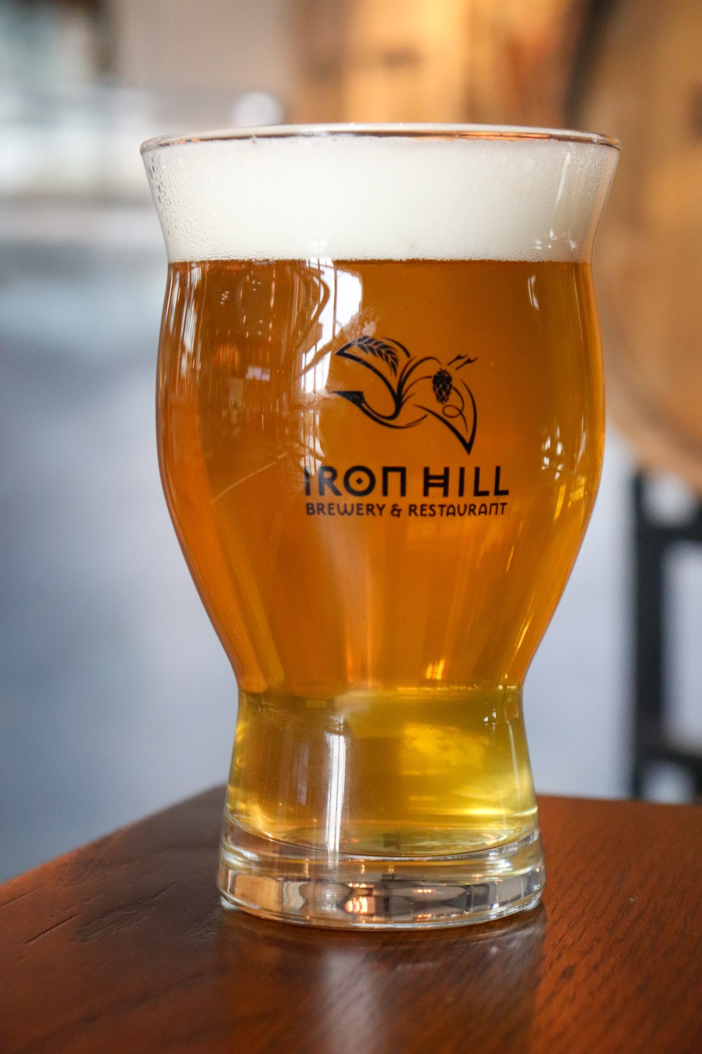 Iron Hill Brewery & Restaurant Media Visit Delco PA