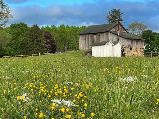 Meadow Hill Farms